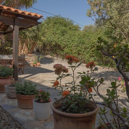 Private Pet Friendly Villa Ayos Nikolaos Dış mekan fotoğraf