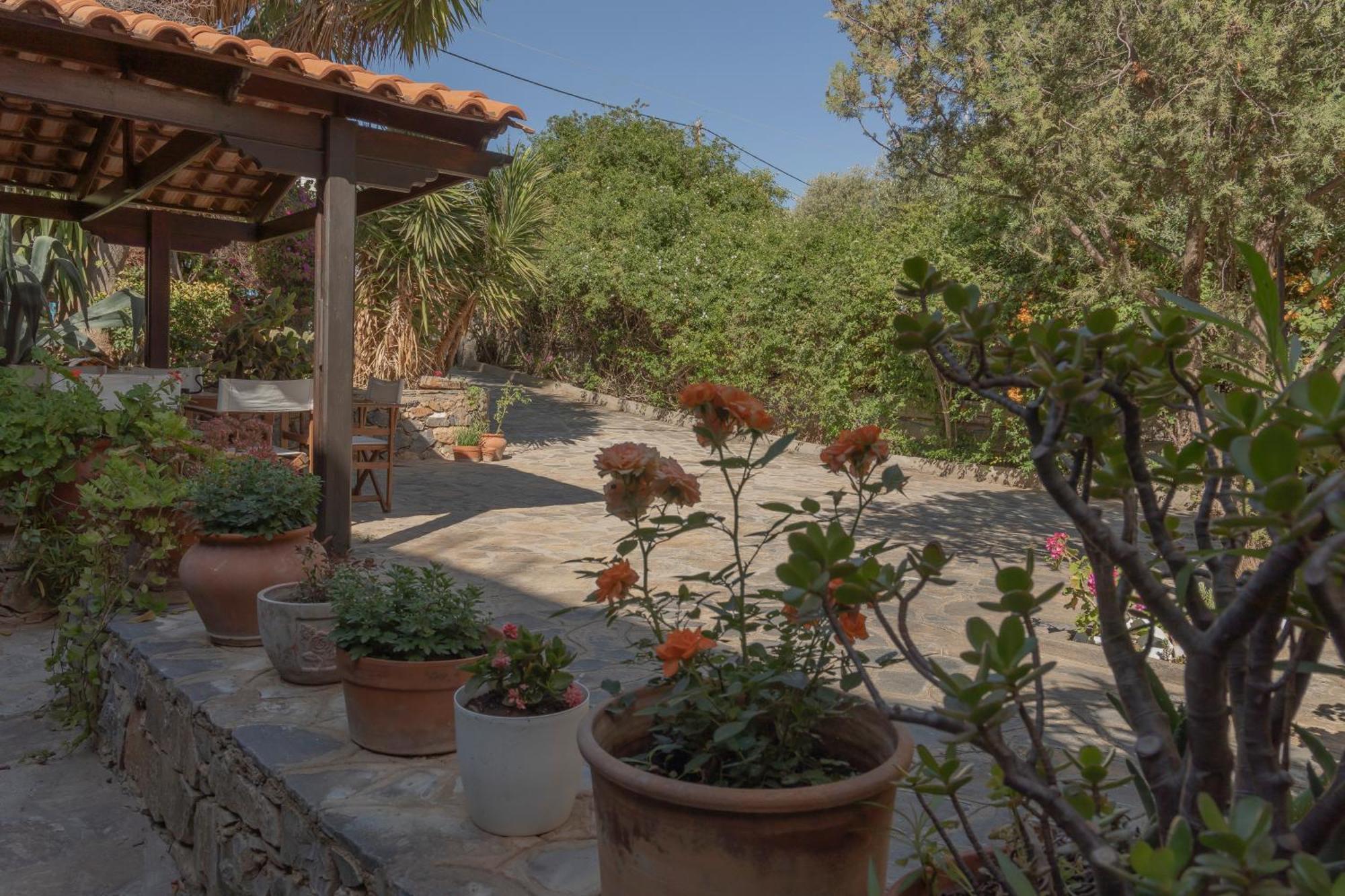 Private Pet Friendly Villa Ayos Nikolaos Dış mekan fotoğraf