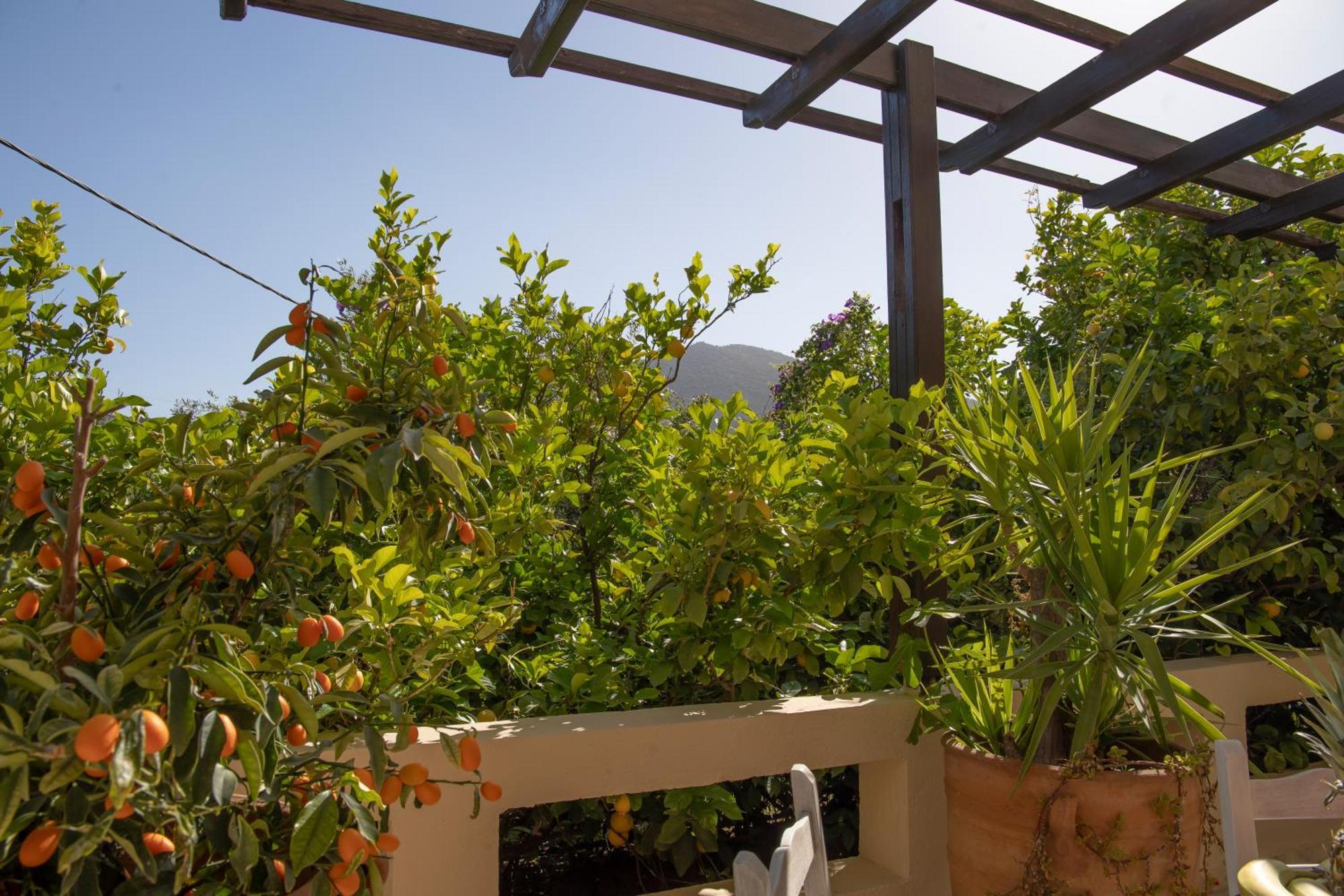 Private Pet Friendly Villa Ayos Nikolaos Dış mekan fotoğraf